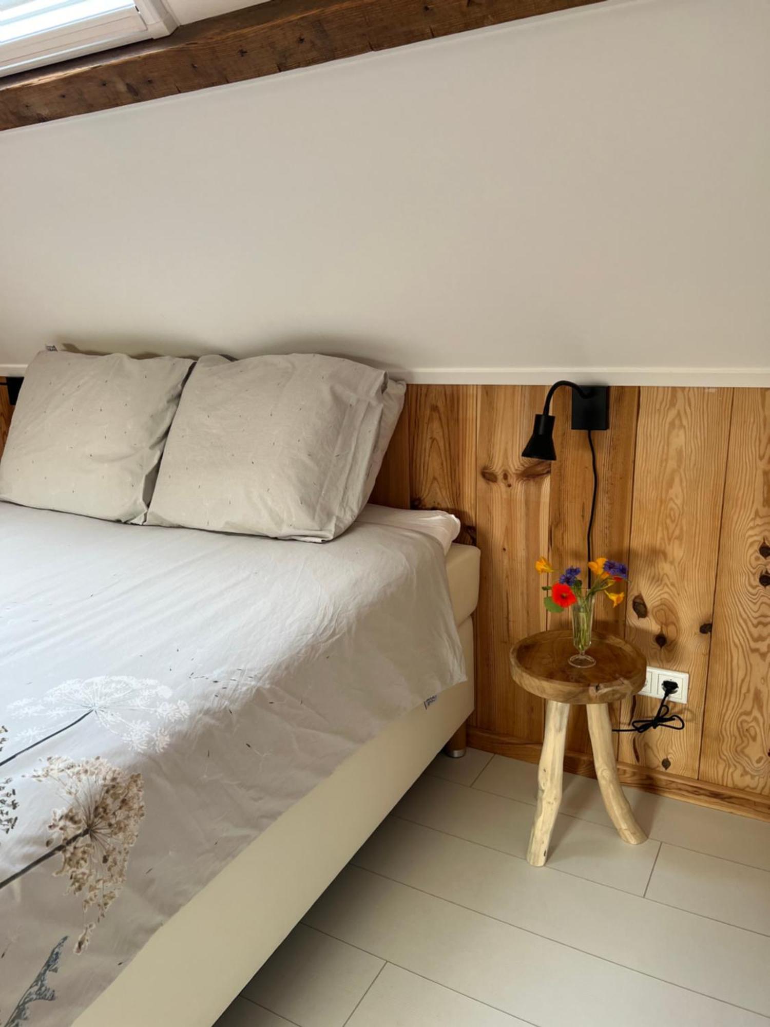 B & B 'Droom In De Polder De Suite Met Prive Sauna Arnemuiden Ngoại thất bức ảnh